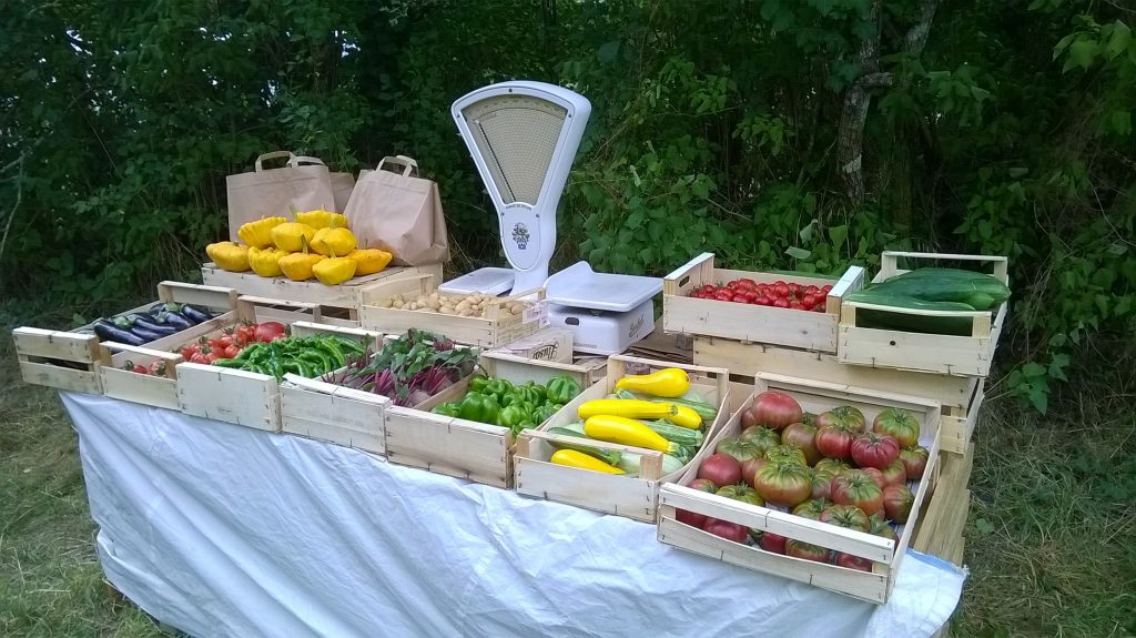 14362610_1747174142166206_8690894280423742084_o