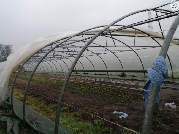 Capture d’écran 2022-08-26 150623